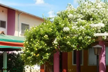 outside