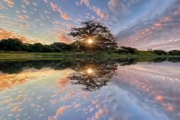 Lake view