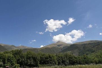 Photo 50