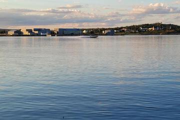 Photo 41