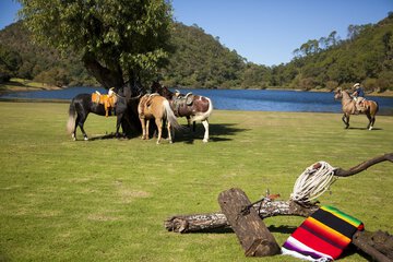 Horseback riding