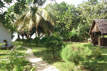 Photo 31