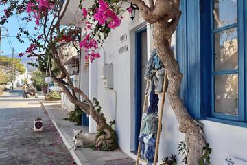 Photo 41