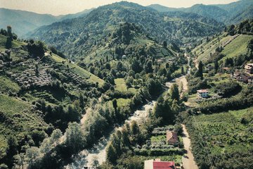 View from property
