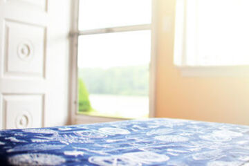 Guestroom View