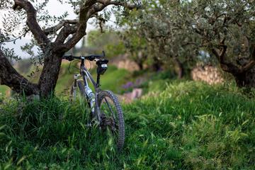 Bicycling