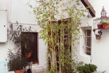 Terrace or Patio