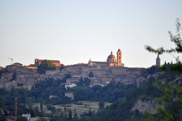 City view from property