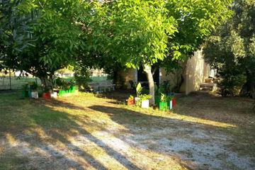 Photo 39