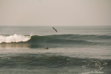 Surfing/boogie boarding