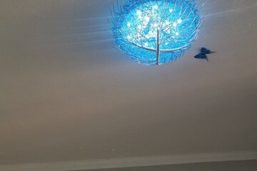精致一室大床房