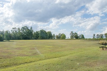 Land view from property