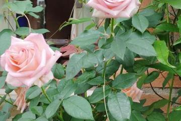 Photo 34