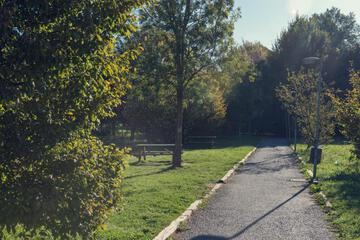 Photo 27
