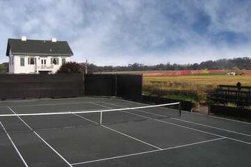 Tennis and Basketball Courts 73 of 74