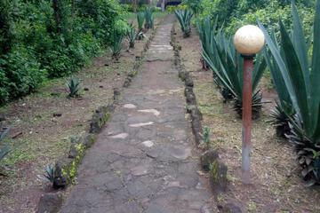 Photo 26