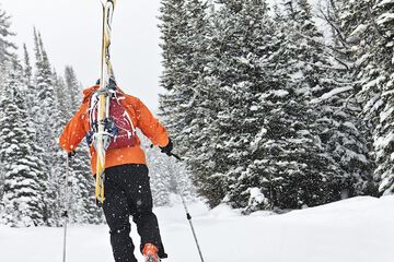 Skiing