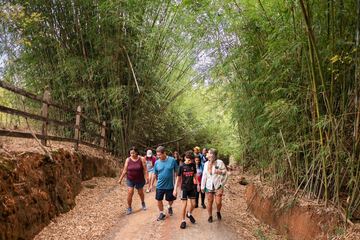 Hiking