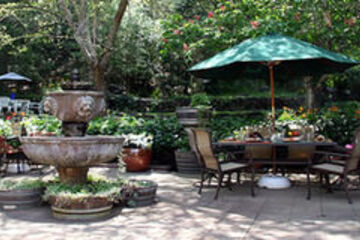 Terrace or Patio
