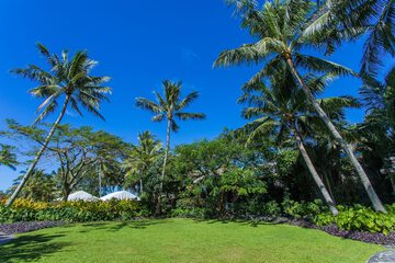 Garden view