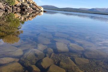 Photo 55