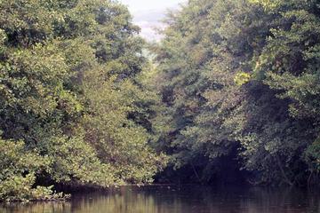 Photo 32