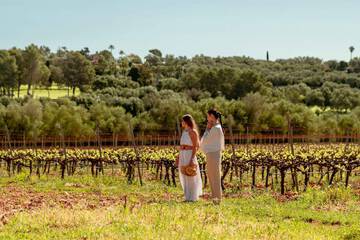 Vineyard