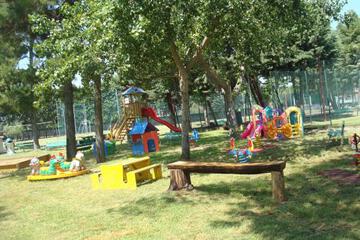 Photo 40