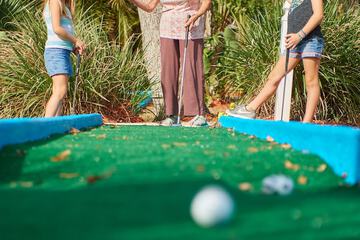 Mini-golf