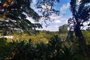 Land view from property