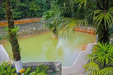 Natural pool