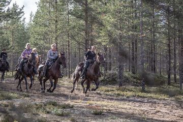 Horseback riding