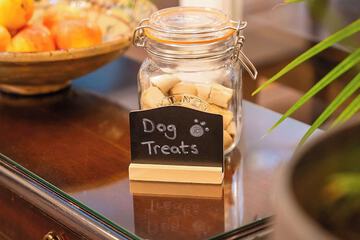 Pet-friendly amenities