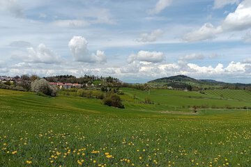 Land view from property