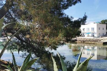 Photo 41