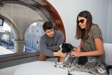 Pet-friendly