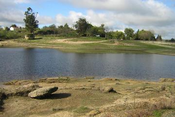 Photo 27