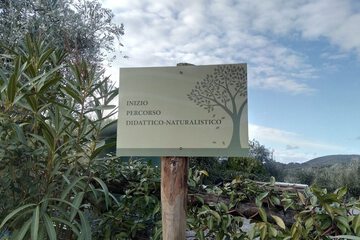 Ecotours