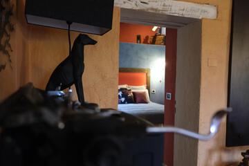Photo 31