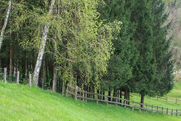 View from property