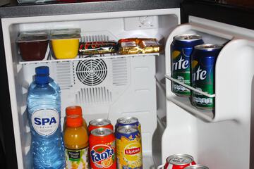 Mini-refrigerator