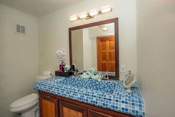 Bathroom amenities