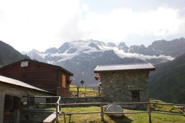 Photo 37