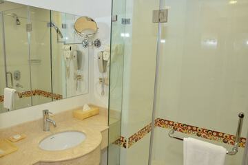 Bathroom shower