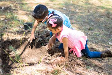 Children's activities