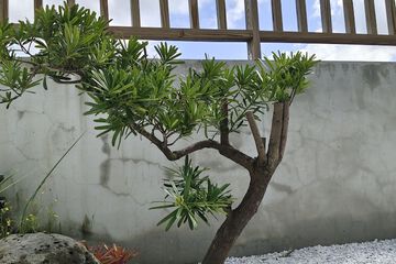 Courtyard view