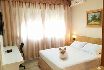 Pet-friendly amenities