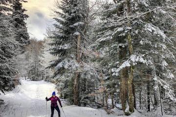 Skiing