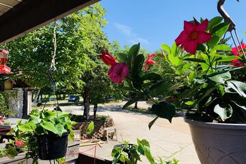 Hotel Exterior 73 of 74