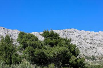 Photo 44